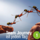 Blogbeitrag von Business Coach Eva Hönnecke: Team Journey ist jeden Tag, Teil 1 (Ameisen als Team)
