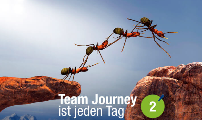 Blogbeitrag von Business Coach Eva Hönnecke: Team Journey ist jeden Tag, Teil 2 (Ameisen als Team)