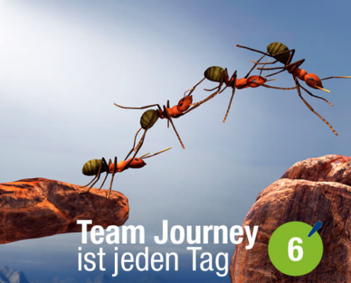 Blogbeitrag von Business Coach Eva Hönnecke: Team Journey ist jeden Tag, Teil 6 (Ameisen als Team)